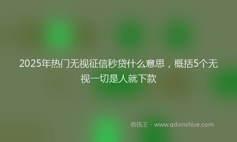 2025年热门无视征信秒贷什么意思，概括5个无视一切是人就下款
