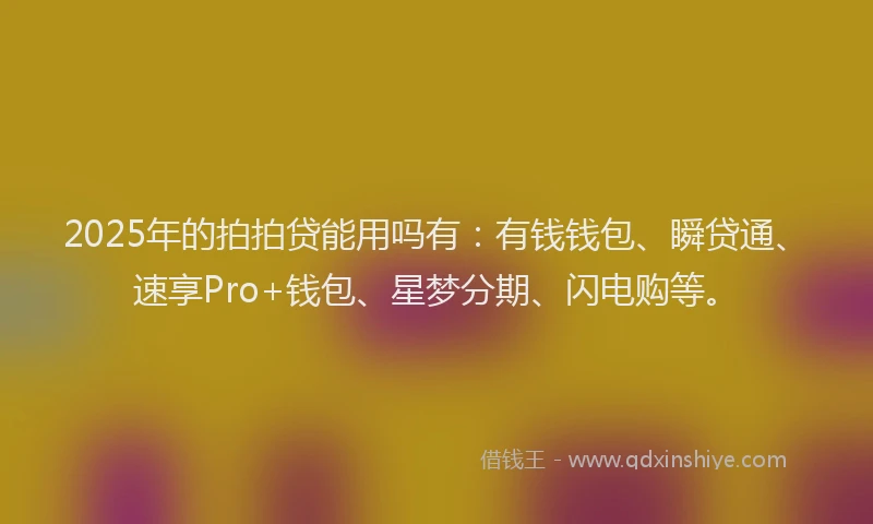2025年的拍拍贷能用吗有：有钱钱包、瞬贷通、速享Pro+钱包、星梦分期、闪电购等。