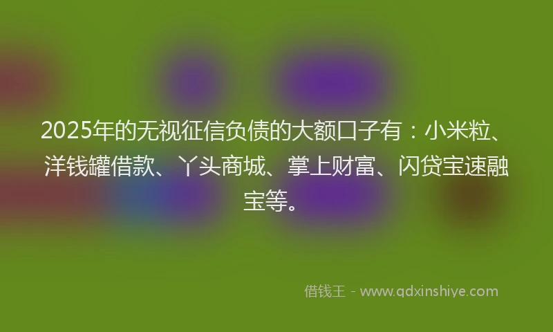 2025年的无视征信负债的大额口子有：小米粒、洋钱罐借款、丫头商城、掌上财富、闪贷宝速融宝等。