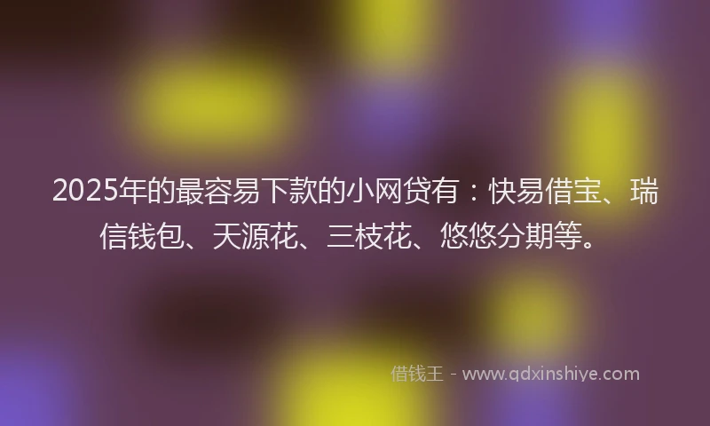 2025年的最容易下款的小网贷有：快易借宝、瑞信钱包、天源花、三枝花、悠悠分期等。