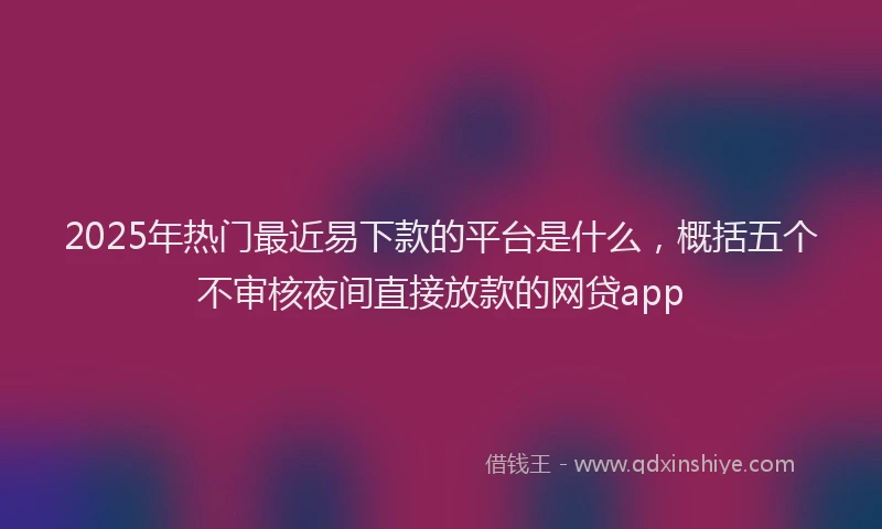 2025年热门最近易下款的平台是什么，概括五个不审核夜间直接放款的网贷app