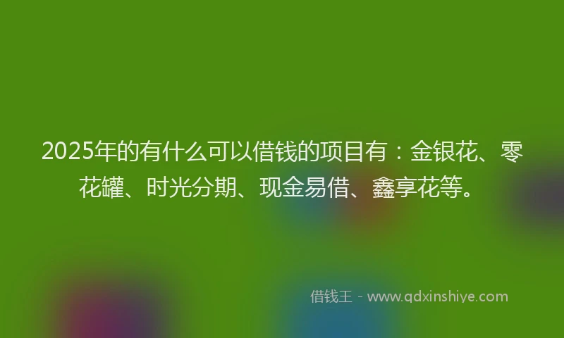 2025年的有什么可以借钱的项目有：金银花、零花罐、时光分期、现金易借、鑫享花等。