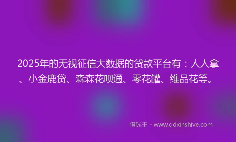 2025年的无视征信大数据的贷款平台有：人人拿、小金鹿贷、森森花呗通、零花罐、维品花等。