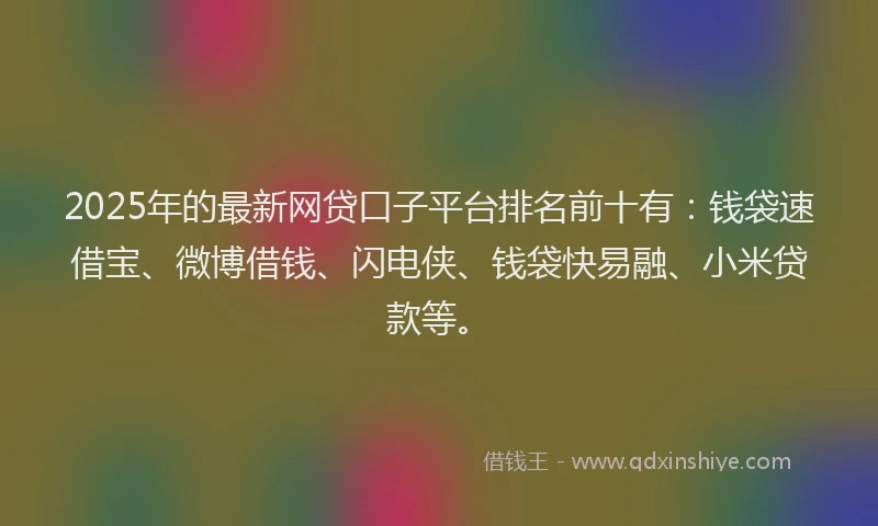2025年的最新网贷口子平台排名前十有：钱袋速借宝、微博借钱、闪电侠、钱袋快易融、小米贷款等。