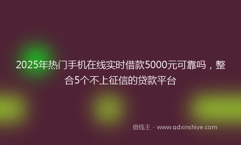 2025年热门手机在线实时借款5000元可靠吗，整合5个不上征信的贷款平台