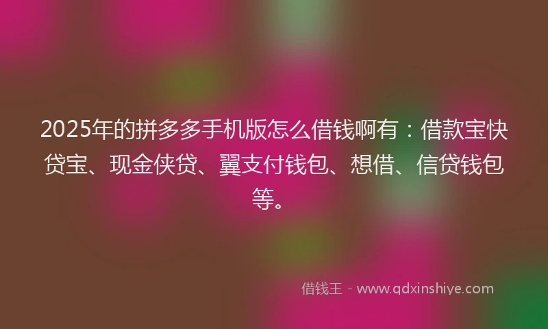 2025年的拼多多手机版怎么借钱啊有：借款宝快贷宝、现金侠贷、翼支付钱包、想借、信贷钱包等。