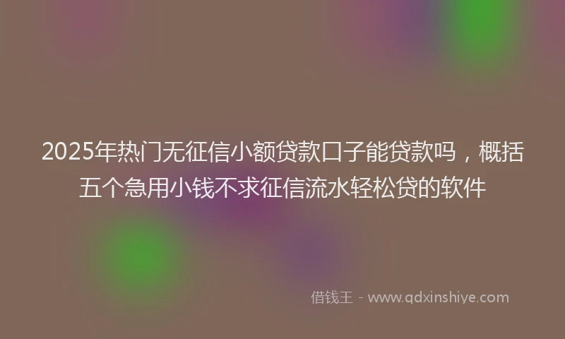 2025年热门无征信小额贷款口子能贷款吗，概括五个急用小钱不求征信流水轻松贷的软件