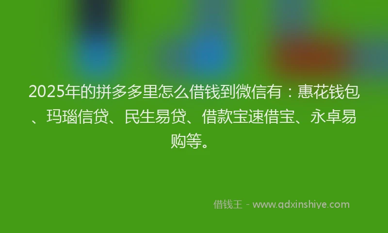 2025年的拼多多里怎么借钱到微信有：惠花钱包、玛瑙信贷、民生易贷、借款宝速借宝、永卓易购等。