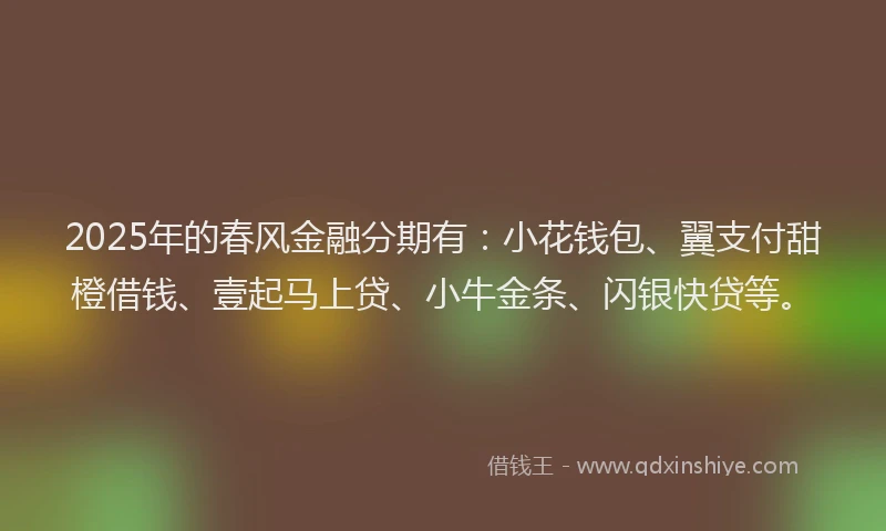 2025年的春风金融分期有：小花钱包、翼支付甜橙借钱、壹起马上贷、小牛金条、闪银快贷等。