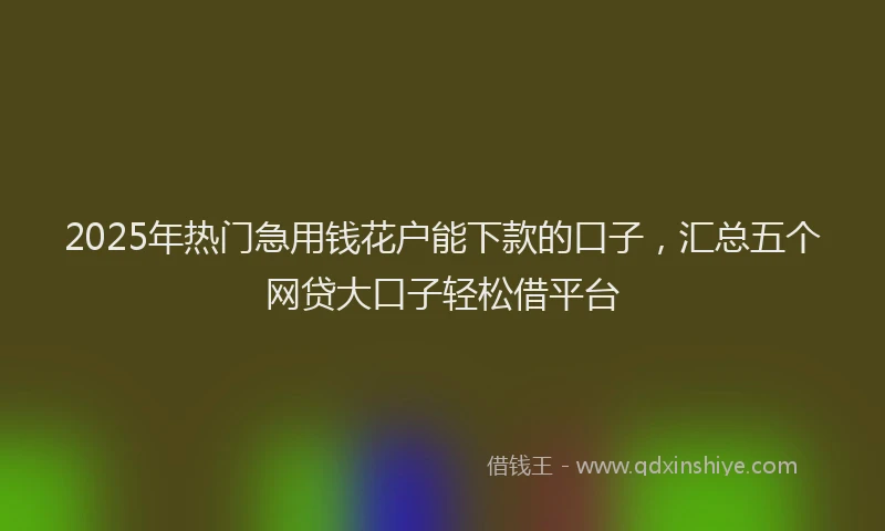 2025年热门急用钱花户能下款的口子，汇总五个网贷大口子轻松借平台