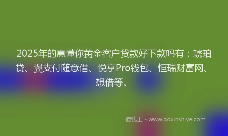 2025年的惠懂你黄金客户贷款好下款吗有：琥珀贷、翼支付随意借、悦享Pro钱包、恒瑞财富网、想借等。