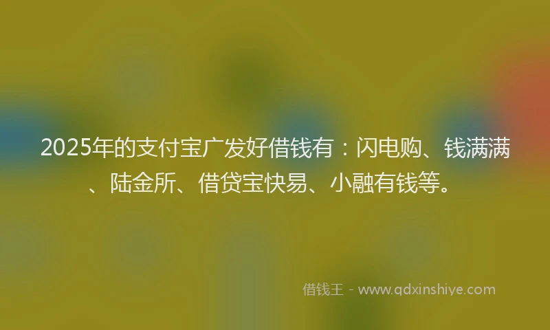 2025年的支付宝广发好借钱有：闪电购、钱满满、陆金所、借贷宝快易、小融有钱等。