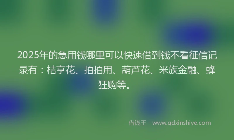 2025年的急用钱哪里可以快速借到钱不看征信记录有：桔享花、拍拍用、葫芦花、米族金融、蜂狂购等。