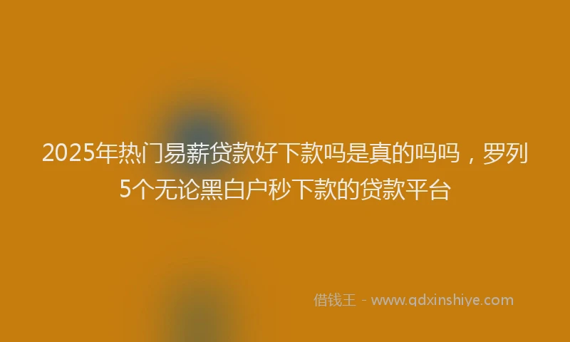 2025年热门易薪贷款好下款吗是真的吗吗，罗列5个无论黑白户秒下款的贷款平台
