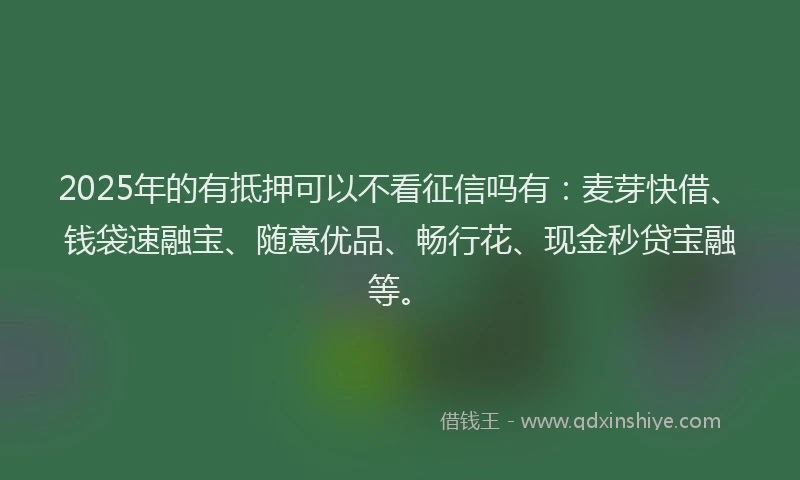 2025年的有抵押可以不看征信吗有：麦芽快借、钱袋速融宝、随意优品、畅行花、现金秒贷宝融等。