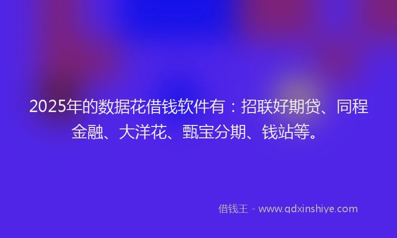 2025年的数据花借钱软件有：招联好期贷、同程金融、大洋花、甄宝分期、钱站等。