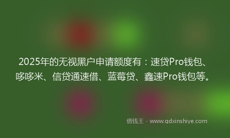 2025年的无视黑户申请额度有：速贷Pro钱包、哆哆米、信贷通速借、蓝莓贷、鑫速Pro钱包等。