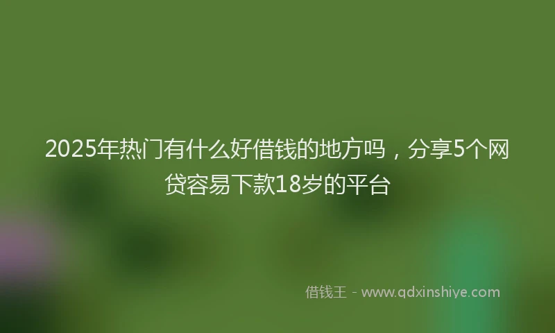 2025年热门有什么好借钱的地方吗，分享5个网贷容易下款18岁的平台