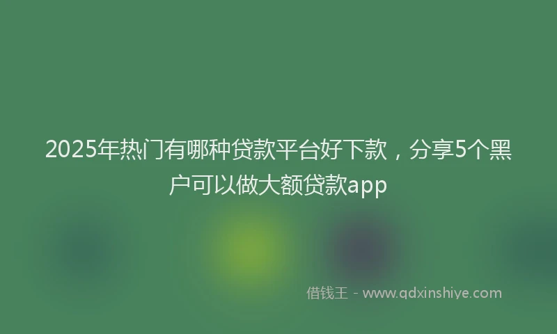 2025年热门有哪种贷款平台好下款，分享5个黑户可以做大额贷款app