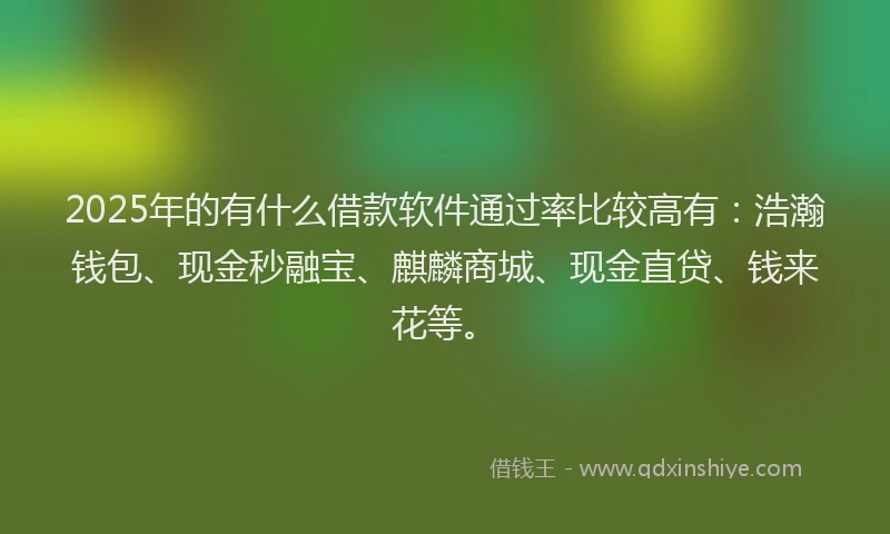 2025年的有什么借款软件通过率比较高有：浩瀚钱包、现金秒融宝、麒麟商城、现金直贷、钱来花等。