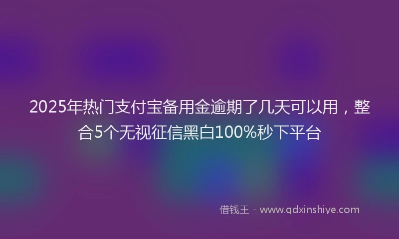 2025年热门支付宝备用金逾期了几天可以用，整合5个无视征信黑白100%秒下平台
