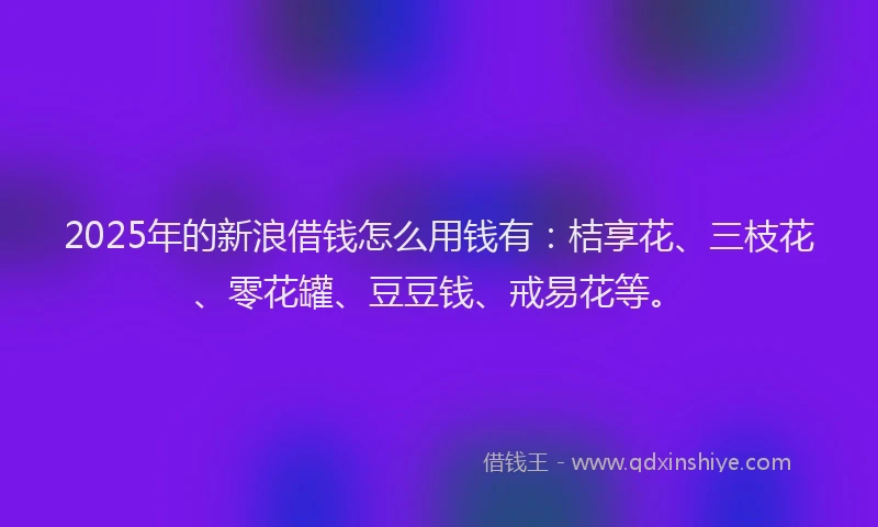 2025年的新浪借钱怎么用钱有：桔享花、三枝花、零花罐、豆豆钱、戒易花等。