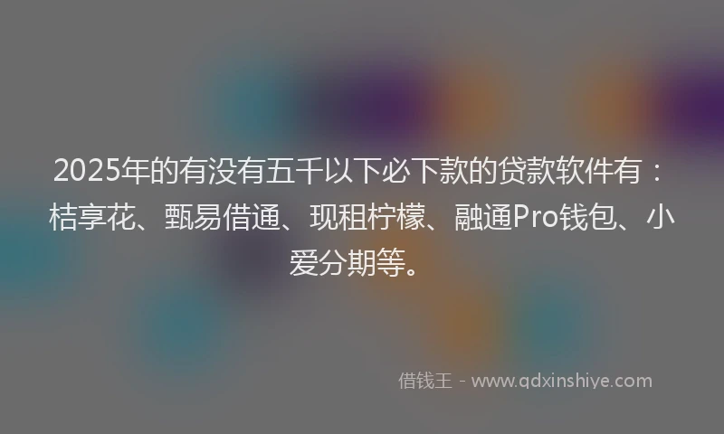 2025年的有没有五千以下必下款的贷款软件有：桔享花、甄易借通、现租柠檬、融通Pro钱包、小爱分期等。