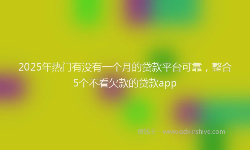 2025年热门有没有一个月的贷款平台可靠，整合5个不看欠款的贷款app