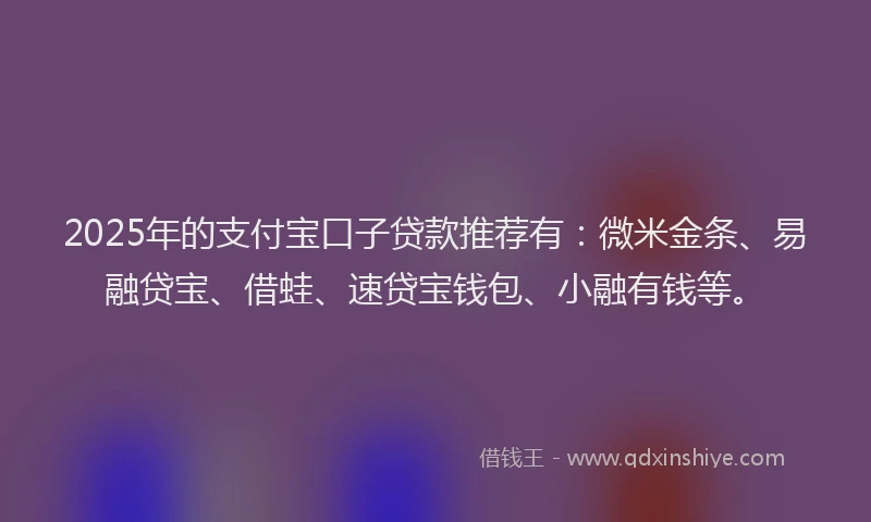 2025年的支付宝口子贷款推荐有：微米金条、易融贷宝、借蛙、速贷宝钱包、小融有钱等。
