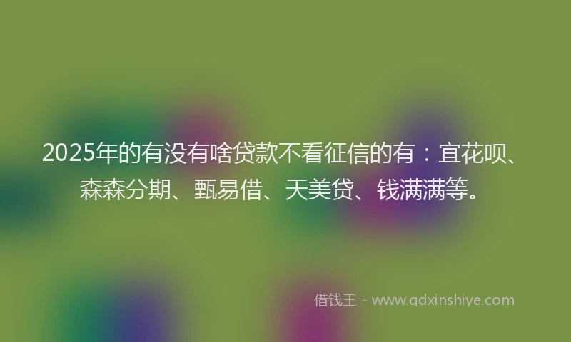 2025年的有没有啥贷款不看征信的有：宜花呗、森森分期、甄易借、天美贷、钱满满等。