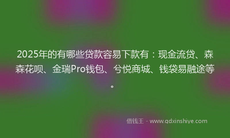 2025年的有哪些贷款容易下款有：现金流贷、森森花呗、金瑞Pro钱包、兮悦商城、钱袋易融途等。