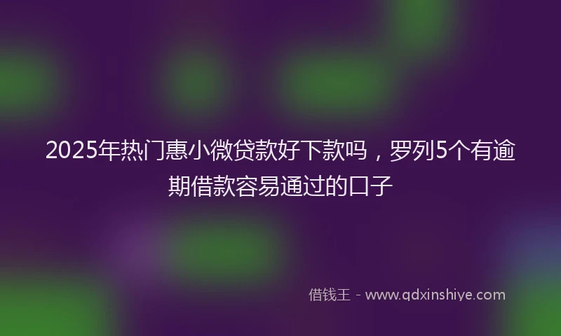 2025年热门惠小微贷款好下款吗，罗列5个有逾期借款容易通过的口子