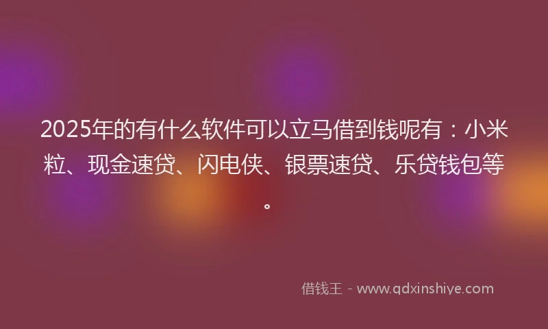 2025年的有什么软件可以立马借到钱呢有：小米粒、现金速贷、闪电侠、银票速贷、乐贷钱包等。