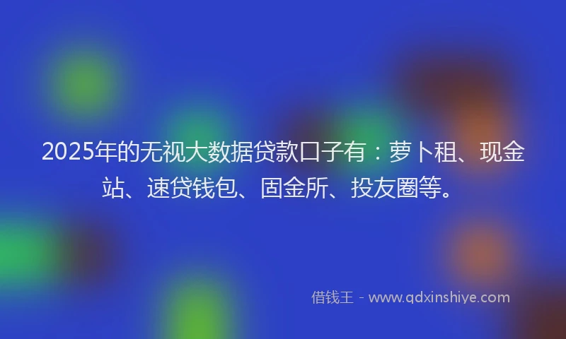 2025年的无视大数据贷款口子有：萝卜租、现金站、速贷钱包、固金所、投友圈等。