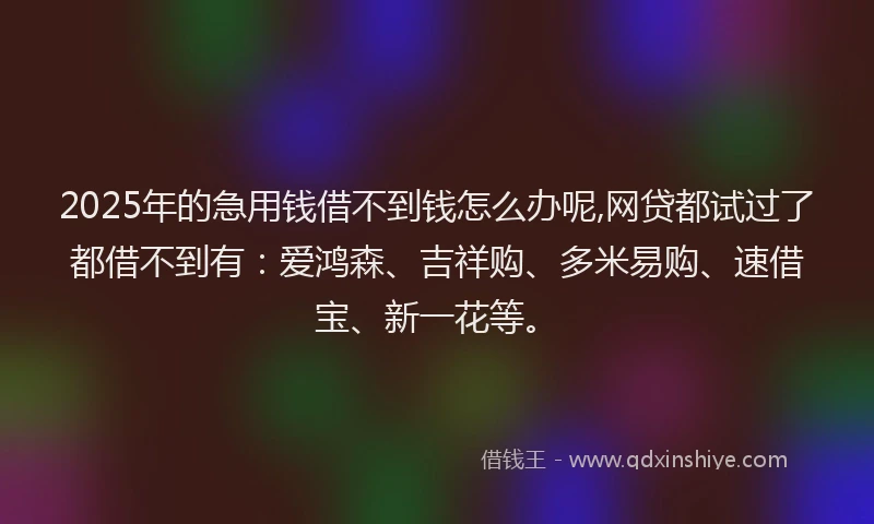 2025年的急用钱借不到钱怎么办呢,网贷都试过了都借不到有：爱鸿森、吉祥购、多米易购、速借宝、新一花等。