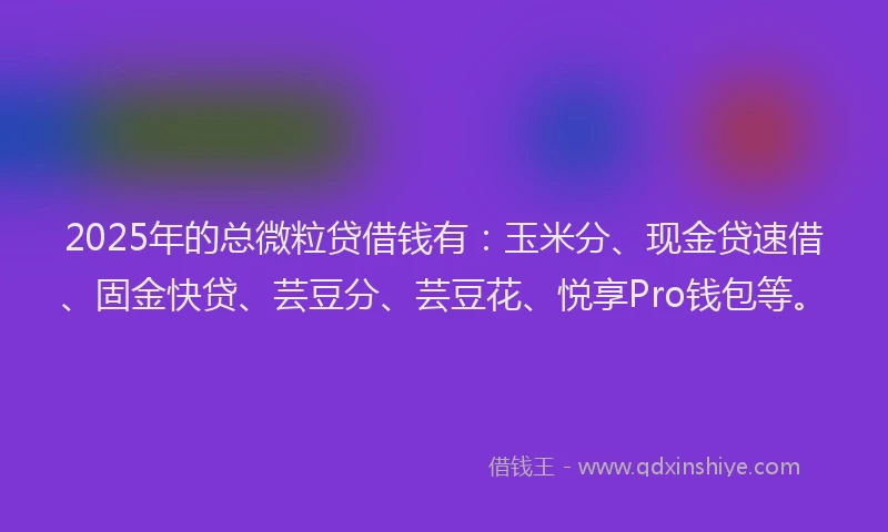 2025年的总微粒贷借钱有：玉米分、现金贷速借、固金快贷、芸豆分、芸豆花、悦享Pro钱包等。