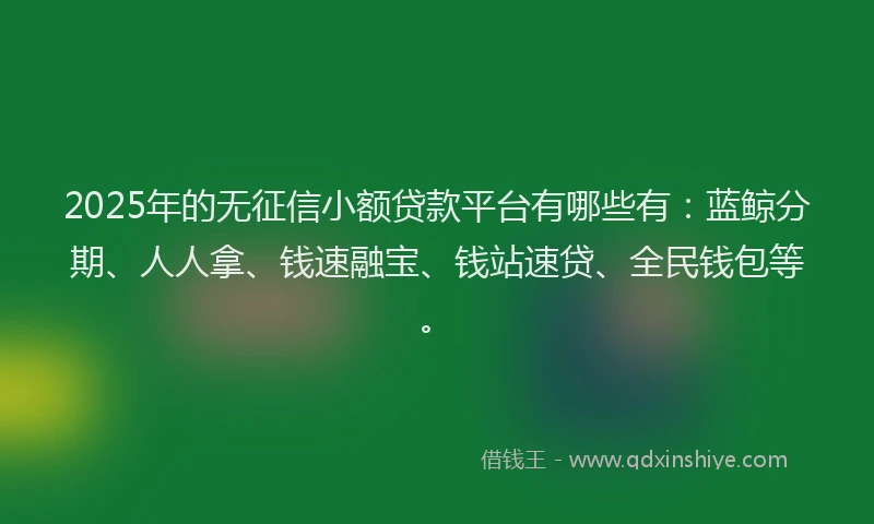 2025年的无征信小额贷款平台有哪些有：蓝鲸分期、人人拿、钱速融宝、钱站速贷、全民钱包等。