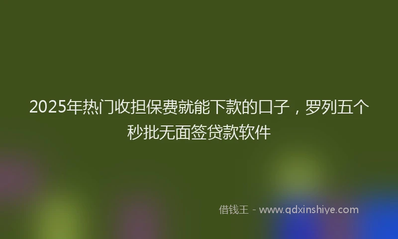 2025年热门收担保费就能下款的口子，罗列五个秒批无面签贷款软件