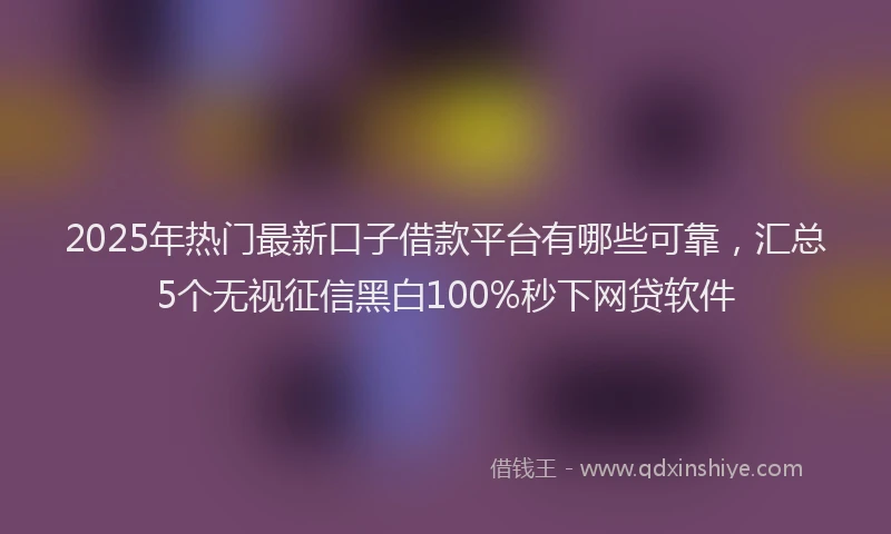 2025年热门最新口子借款平台有哪些可靠，汇总5个无视征信黑白100%秒下网贷软件