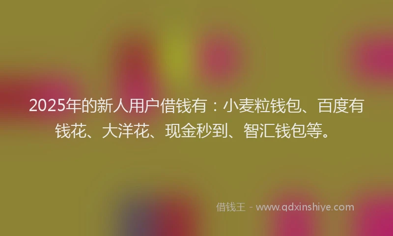 2025年的新人用户借钱有：小麦粒钱包、百度有钱花、大洋花、现金秒到、智汇钱包等。