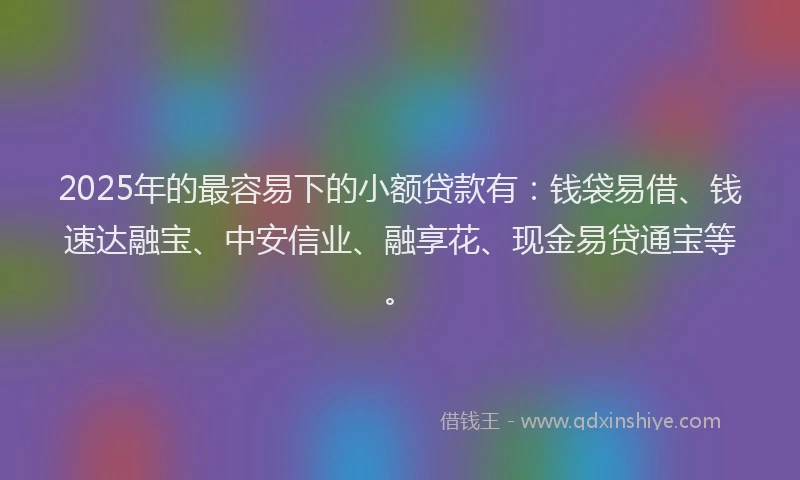 2025年的最容易下的小额贷款有：钱袋易借、钱速达融宝、中安信业、融享花、现金易贷通宝等。