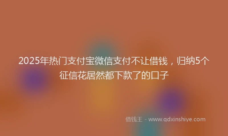 2025年热门支付宝微信支付不让借钱，归纳5个征信花居然都下款了的口子