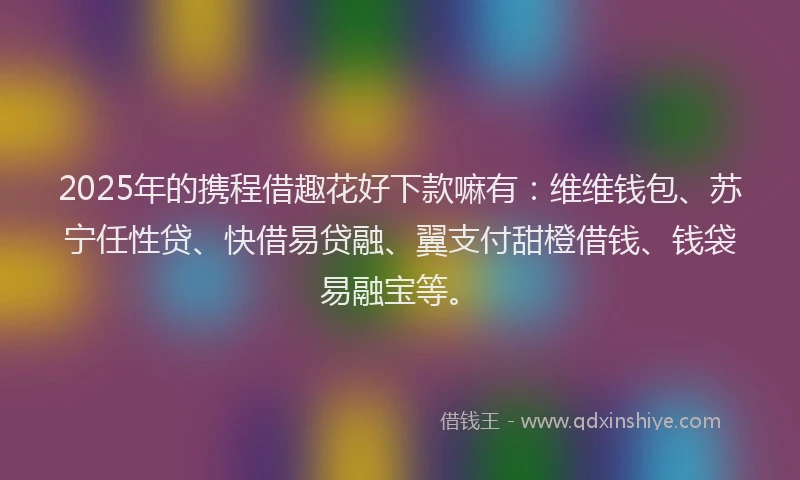 2025年的携程借趣花好下款嘛有：维维钱包、苏宁任性贷、快借易贷融、翼支付甜橙借钱、钱袋易融宝等。