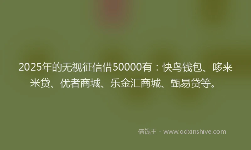 2025年的无视征信借50000有：快鸟钱包、哆来米贷、优者商城、乐金汇商城、甄易贷等。