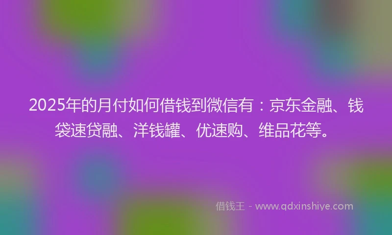 2025年的月付如何借钱到微信有：京东金融、钱袋速贷融、洋钱罐、优速购、维品花等。