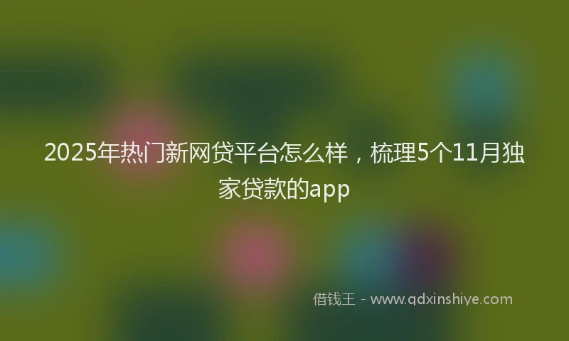 2025年热门新网贷平台怎么样，梳理5个11月独家贷款的app