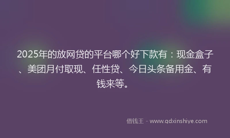 2025年的放网贷的平台哪个好下款有：现金盒子、美团月付取现、任性贷、今日头条备用金、有钱来等。