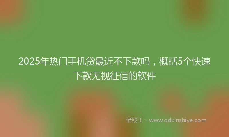 2025年热门手机贷最近不下款吗，概括5个快速下款无视征信的软件