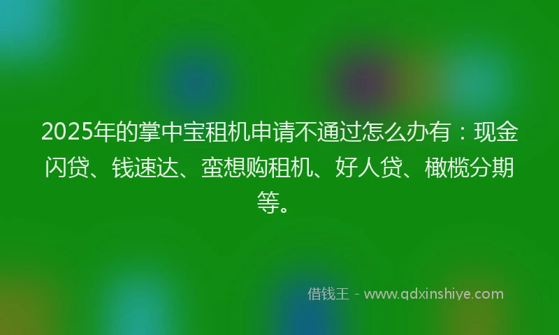 2025年的掌中宝租机申请不通过怎么办有：现金闪贷、钱速达、蛮想购租机、好人贷、橄榄分期等。