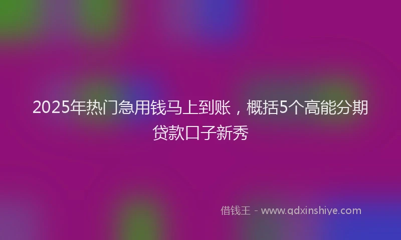 2025年热门急用钱马上到账，概括5个高能分期贷款口子新秀